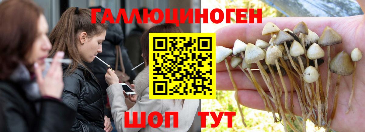 Воскресенск  Галлюциногенные грибы прущие грибы  Вход с VPN 